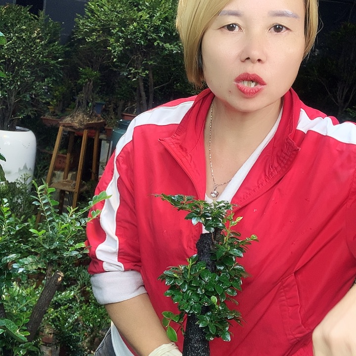 完全开放4855566666