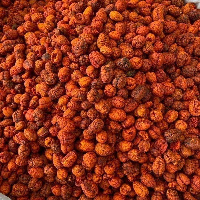 龙麟果 集市现收可搭配枸杞