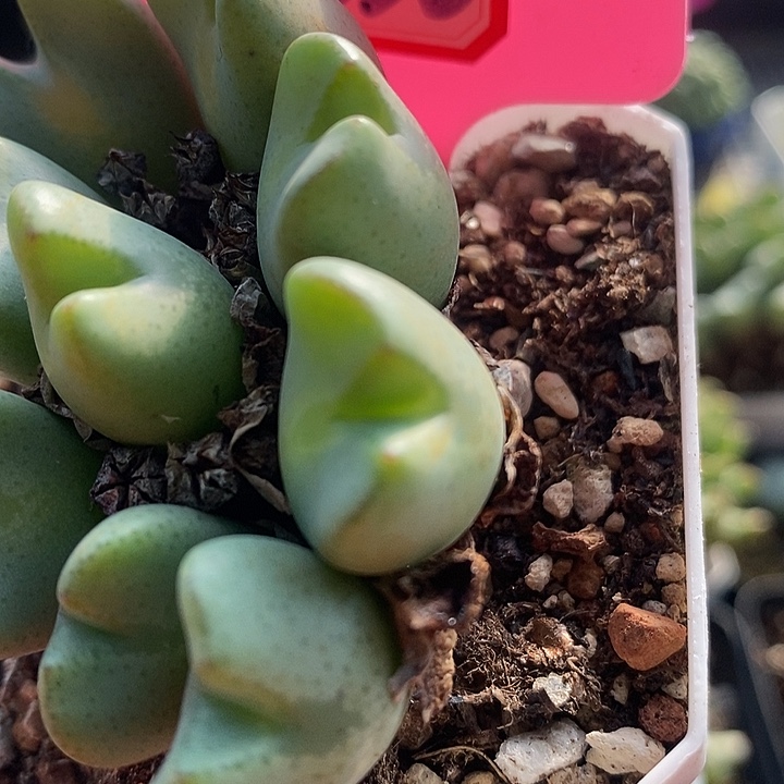 这个人真的挺有意思哈笑吐4030