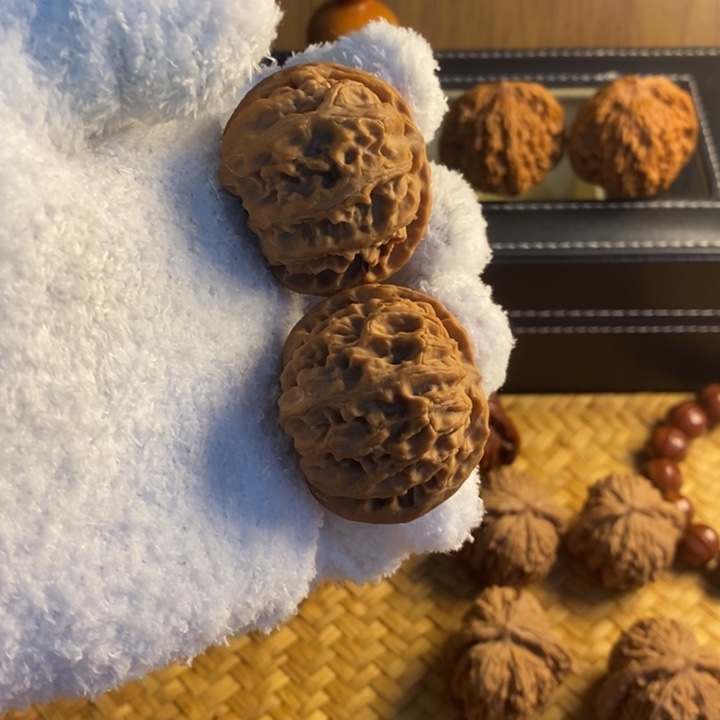 42 尺寸苹果园狮子头核桃