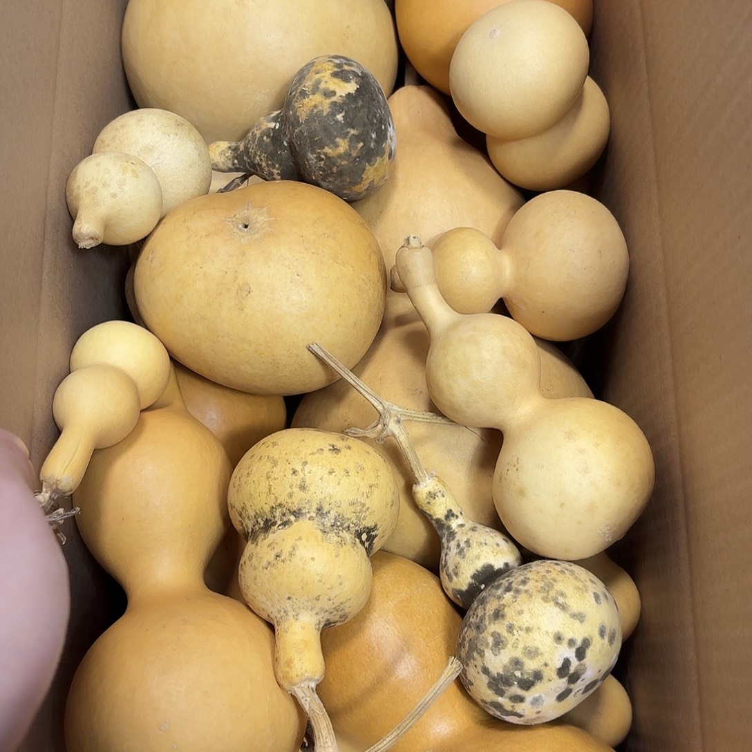 用***水中号放漏不保全品不保龙头