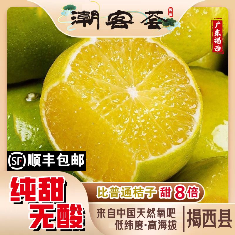 【顺丰包邮】揭西产地直发皇帝柑当季新鲜现摘水果皮薄肉厚现摘现发