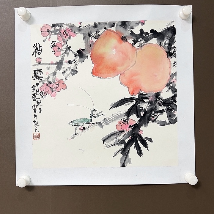 国画郁金蕾55555555555555