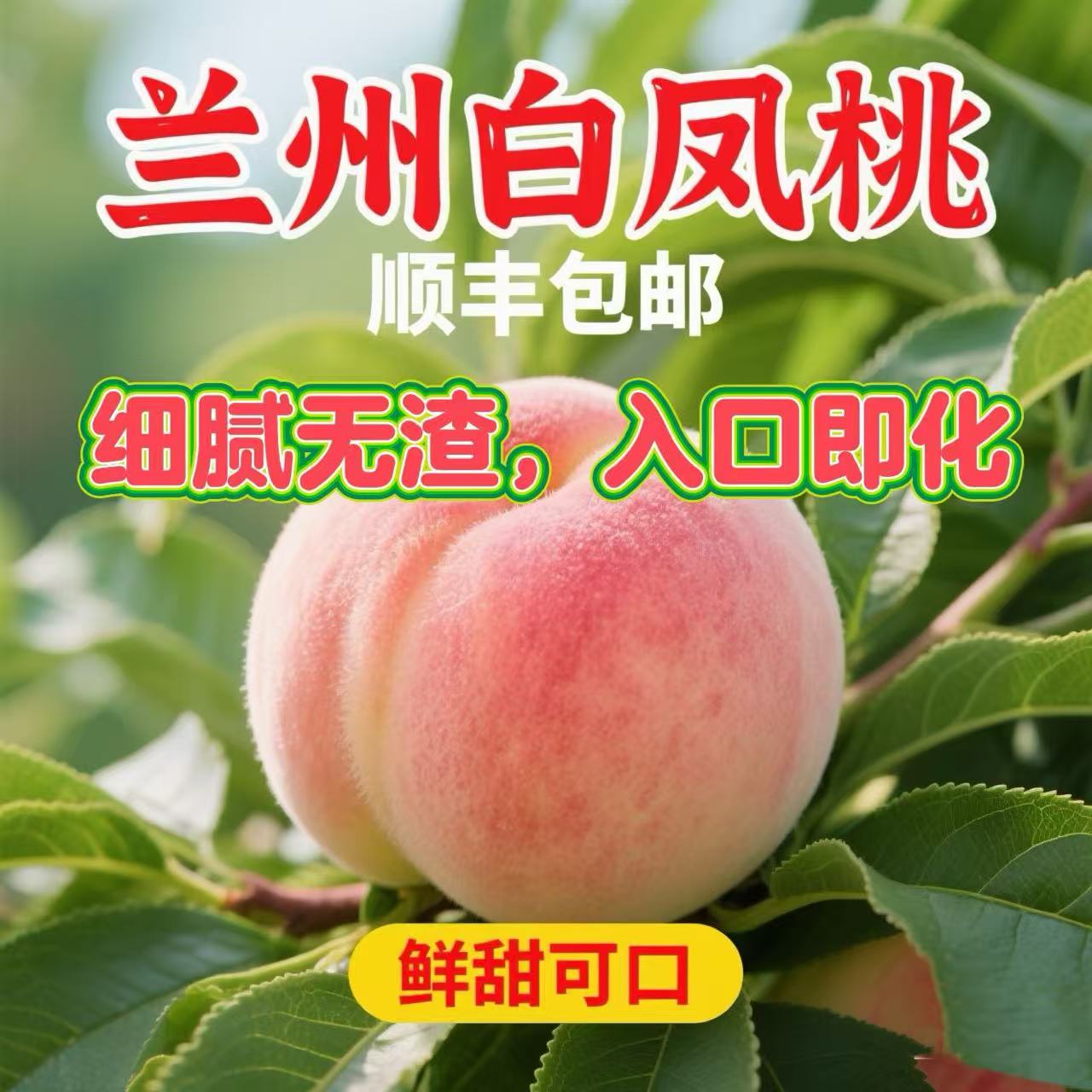 【甘肃省外专拍】白凤桃兰州水磨沟白凤桃鲜甜多汁脆甜可口当季水果