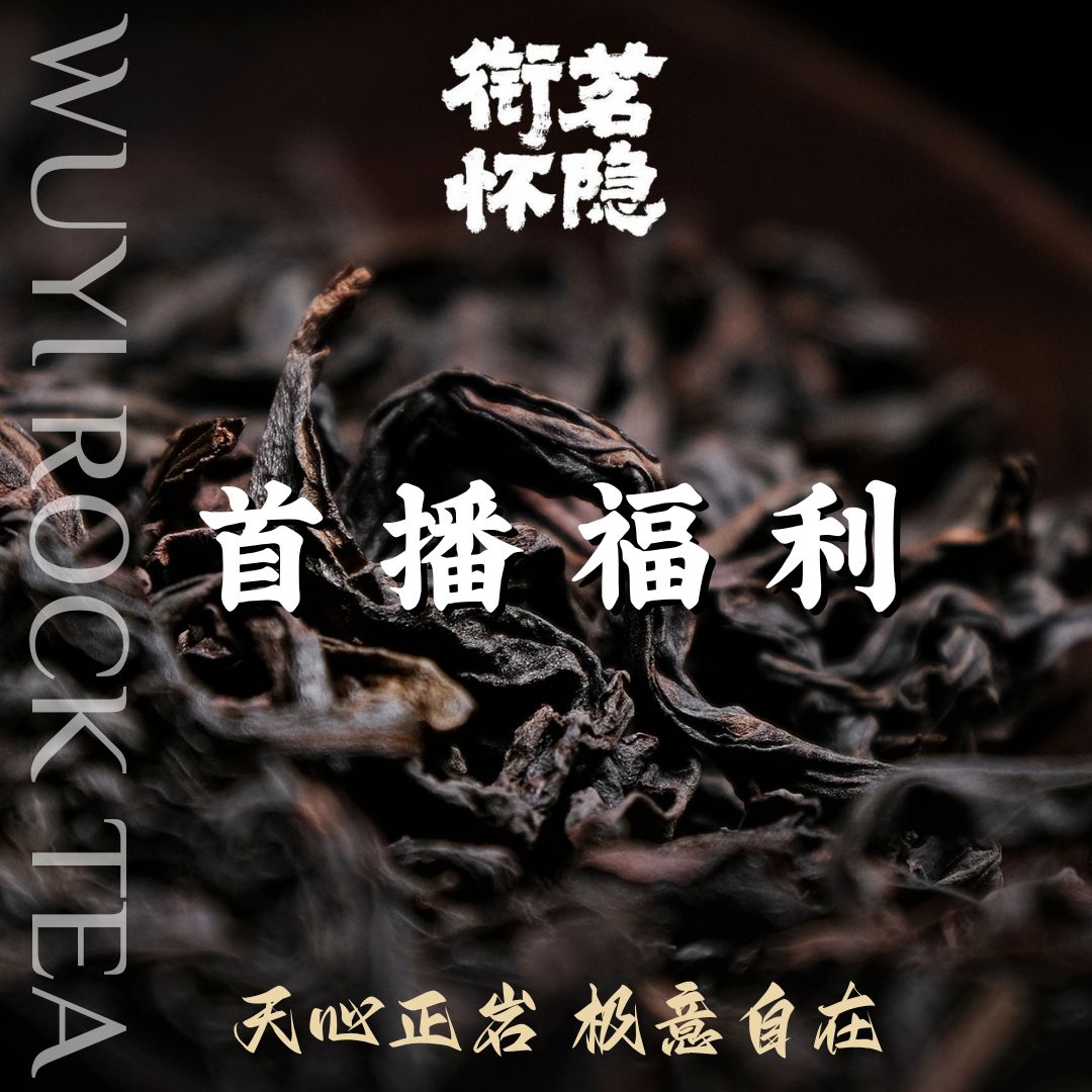 首播浮力·九龙窠老枞+山岩骨肉 自家正岩核心山场 正岩纯料