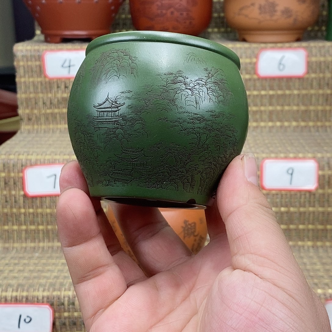 紫砂花盆我在等他