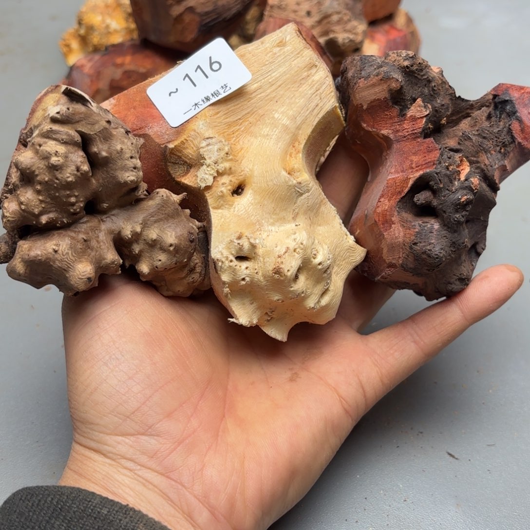 風***唐无花朵          116