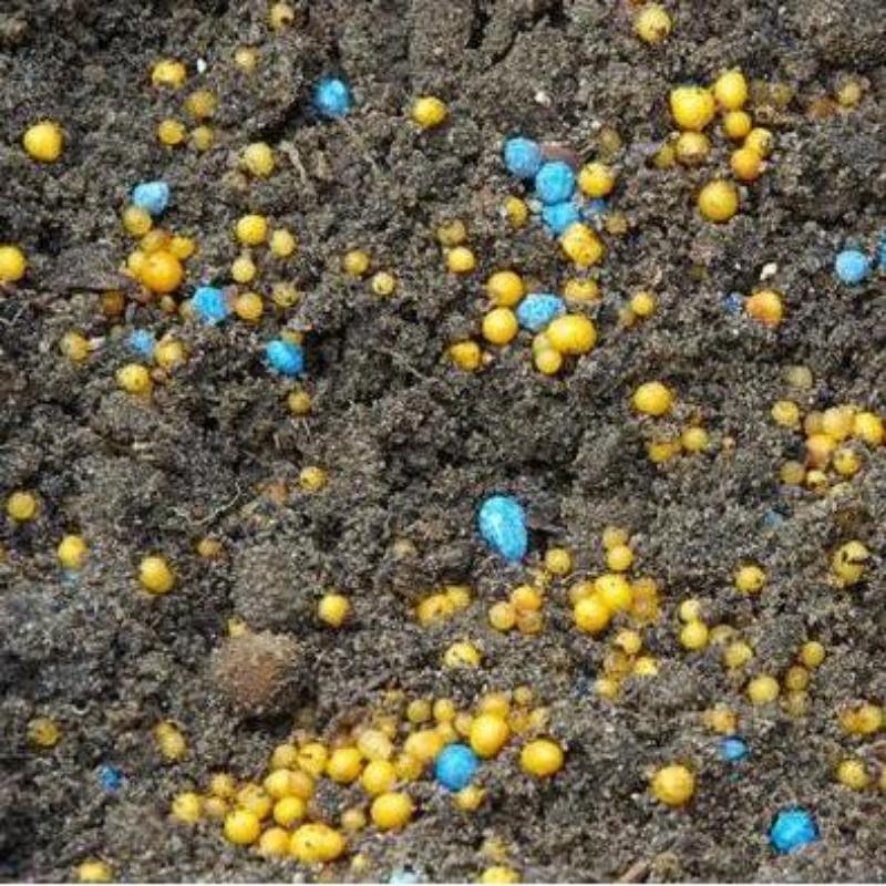 月季绿植专用自配通用肥