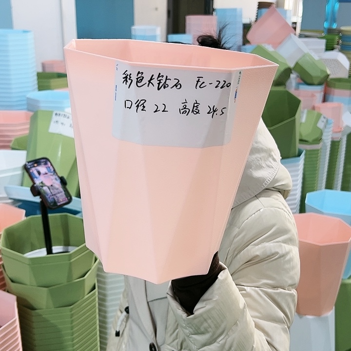 特价钻石F C220口22高24带托5只