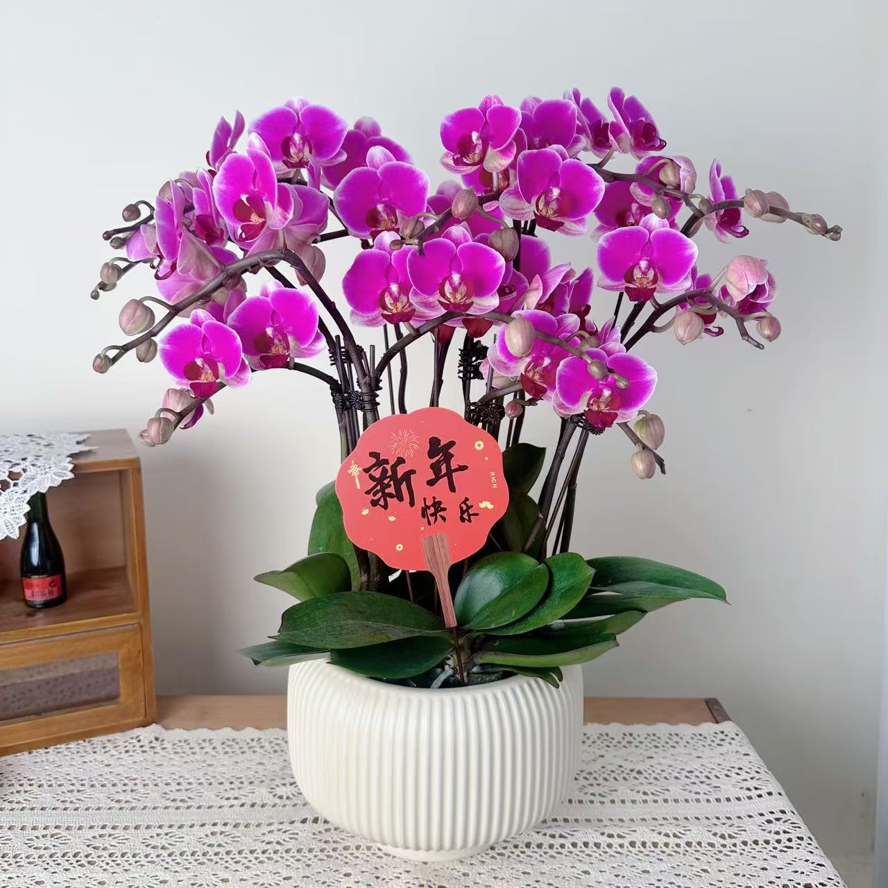 【慕兰优选】红苹果 蝴蝶兰花 艺术摆件客厅花-艺优雅造型4-8