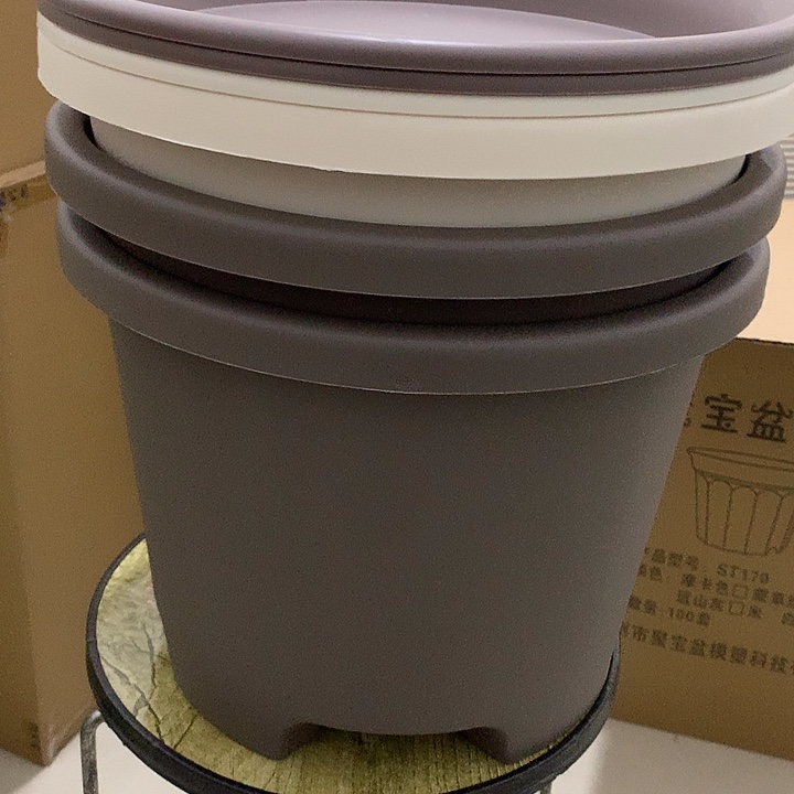 球根口32高24咖色2米白1带托