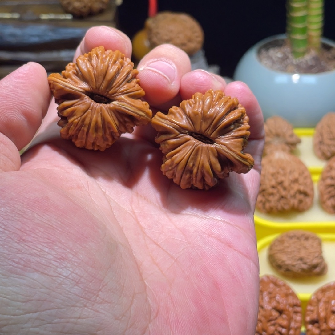 把件文玩核桃38全品满肉正肚矮壮四座楼以打底