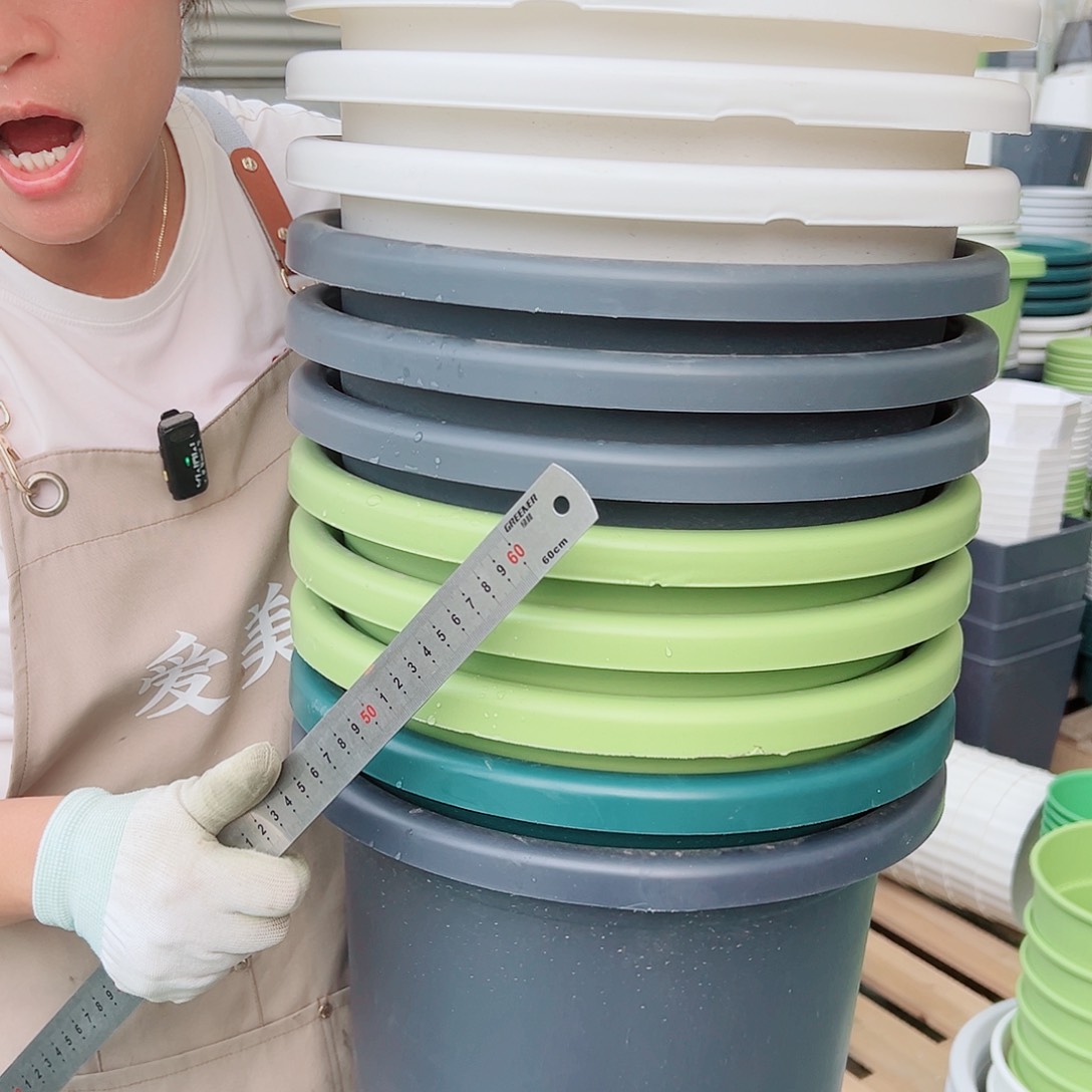 瑕疵四季盆7#混色6个无托