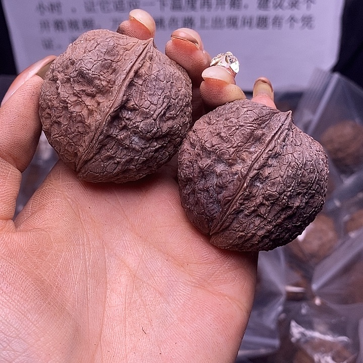 核桃云南野生铁核桃176号44mm