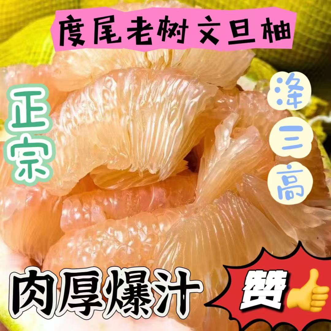 福建度尾文旦柚果园直发现采新鲜应季孕妇时令水果