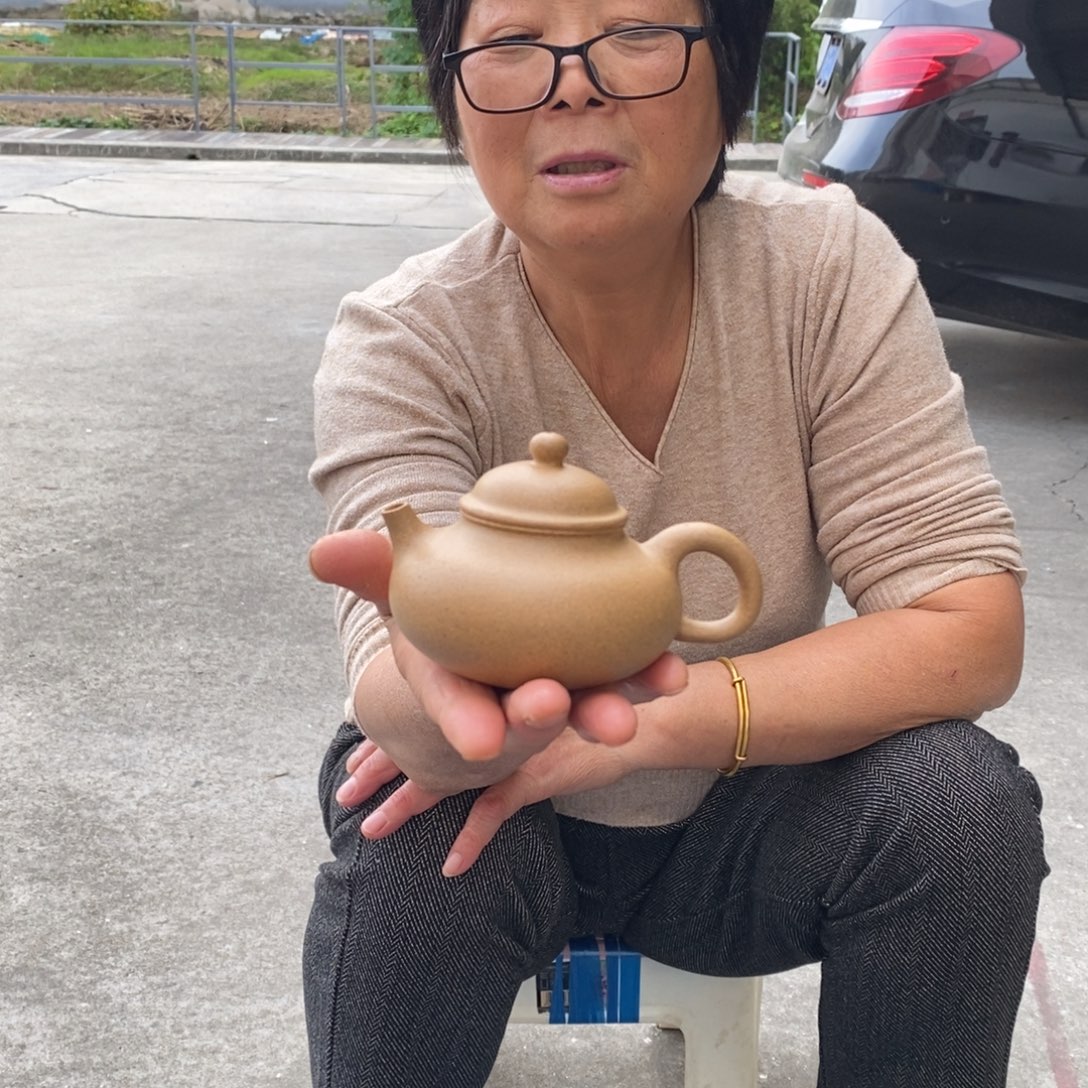 紫砂茶壶宜兴紫砂工艺美术精品