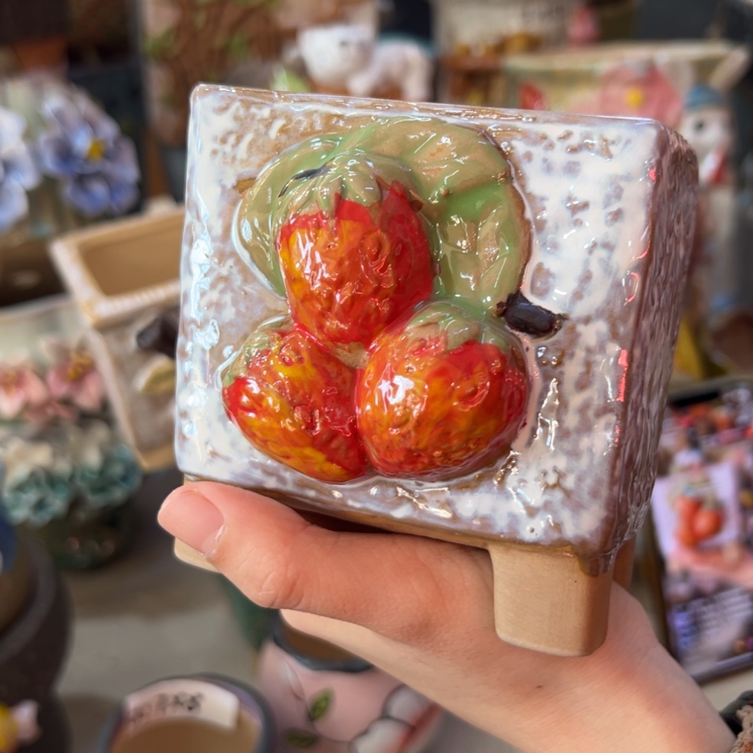 花盆，满20发货爱退款拉黑