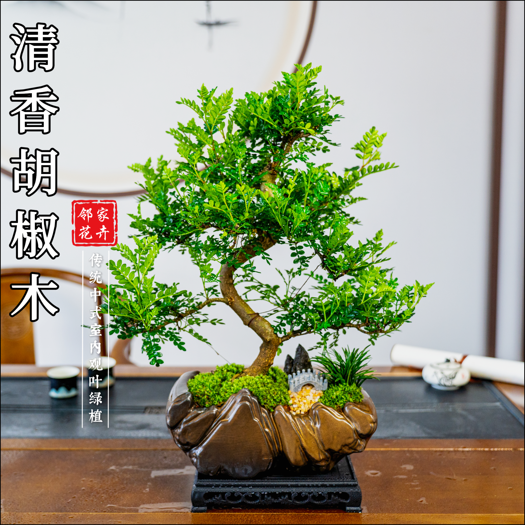 老桩造型胡椒木盆景室内好养盆栽绿植美观茶室客厅