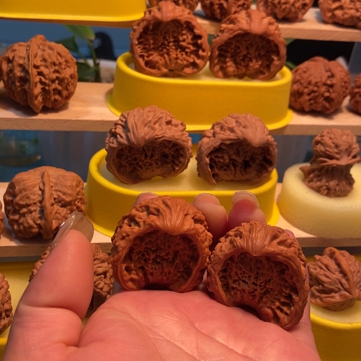 官方网站发布消息