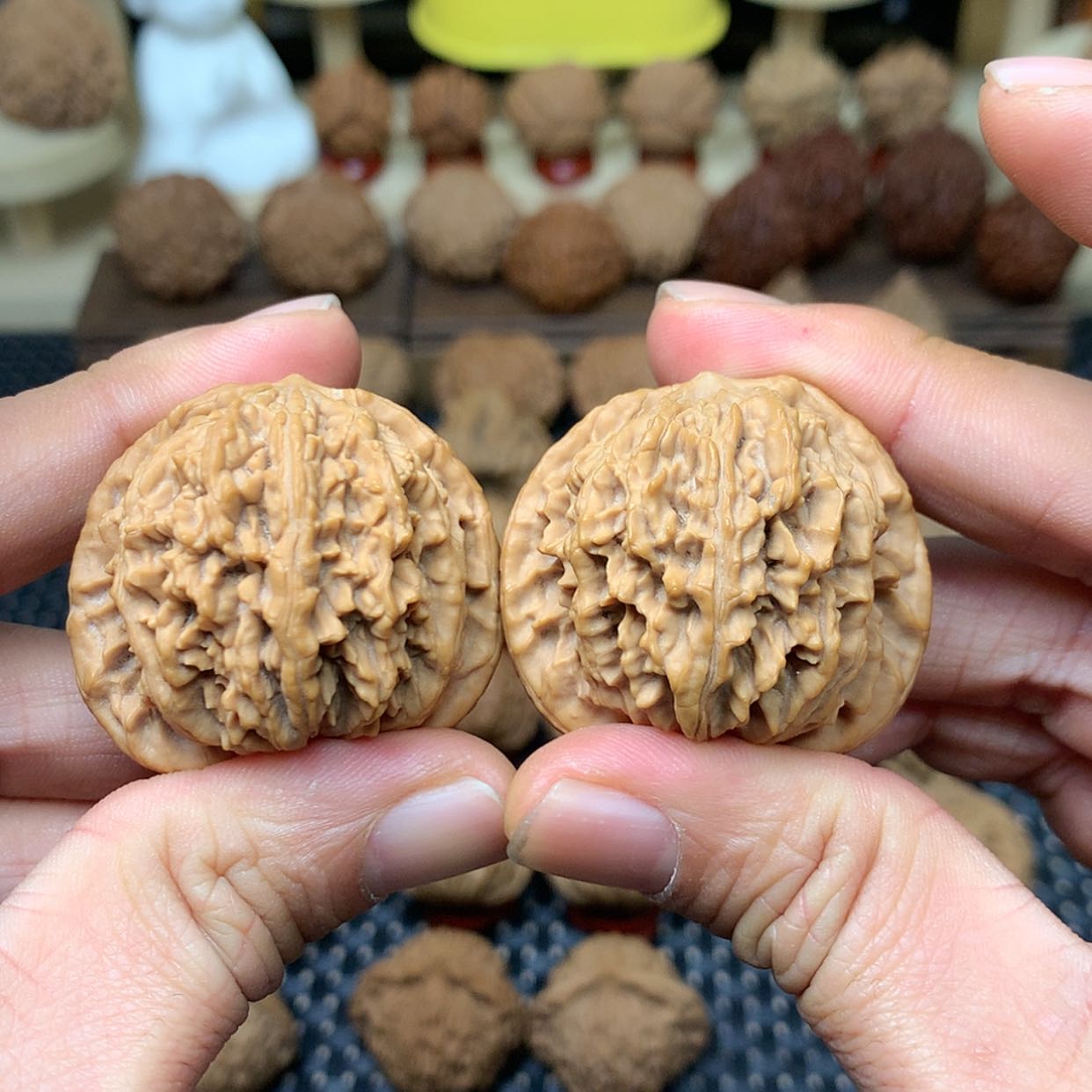 【闪购商品】文玩核桃把件全品野生雪花龙尊狮子头40.5