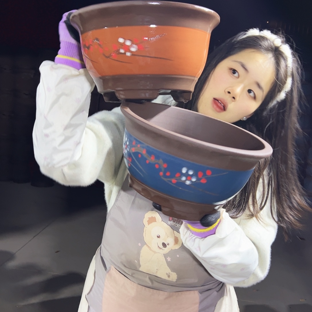红富贵点菜大+蓝富贵点菜中号