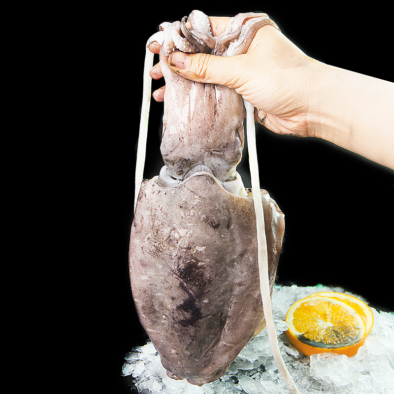 琳达妈妈 · 深海捕捞大墨鱼 肉质肥美 Q弹紧实 到手2.2斤左右