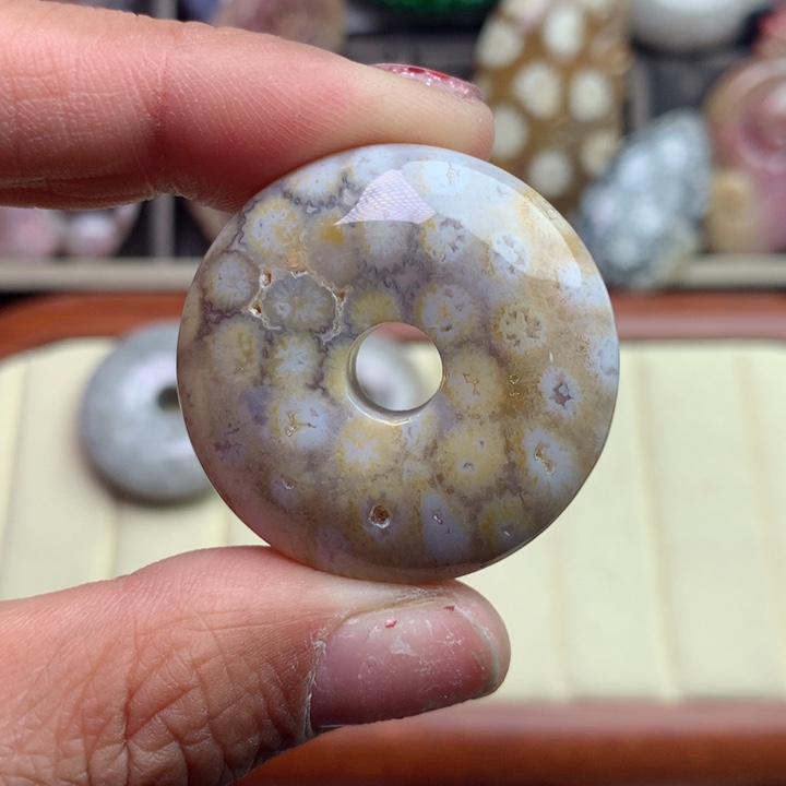 硅化珊瑚（珊瑚玉）颈饰未镶嵌