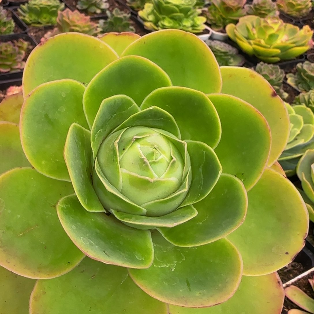 福利113434246568676868683