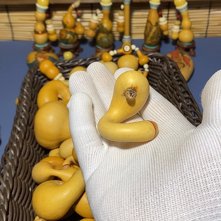 官***山葫芦葫芦葫芦葫芦