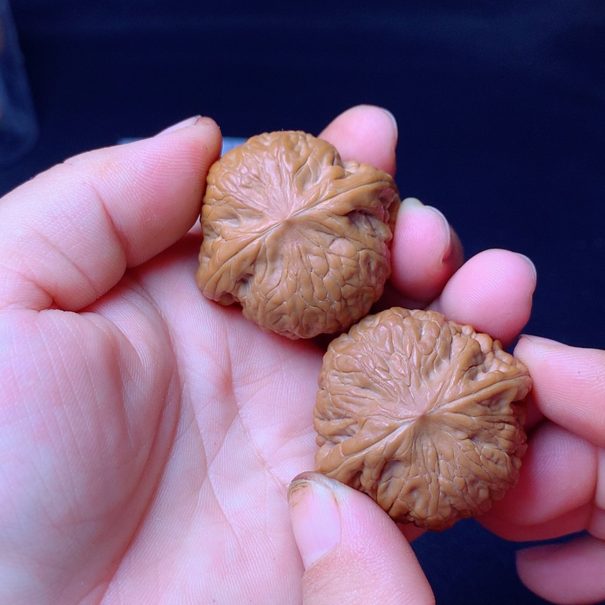 【闪购商品】文玩核桃把件铁锤40