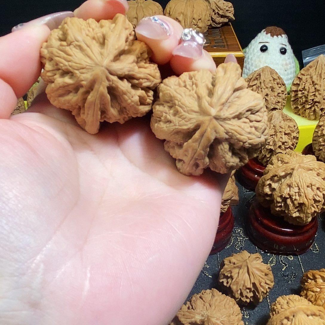 ,***@核桃全品无修大粗筋