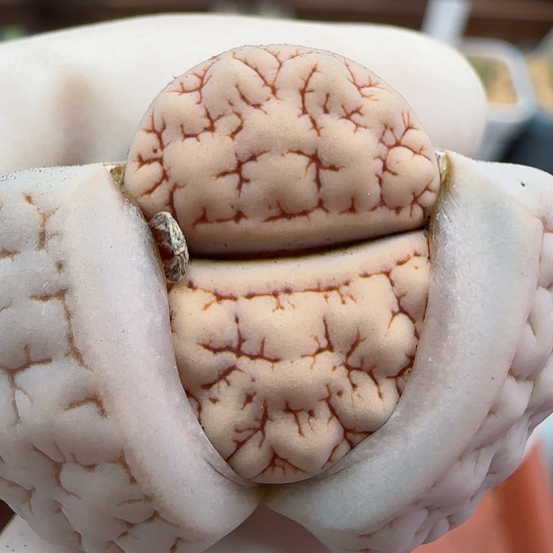 941福利福利福利