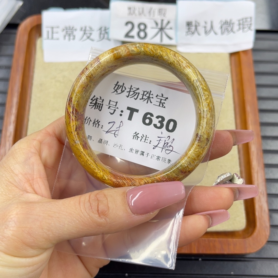 硅化珊瑚（珊瑚玉）瑕未镶嵌飞*～