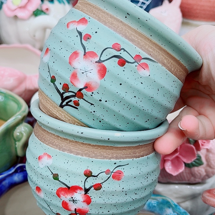 多肉植物陶瓷花盆