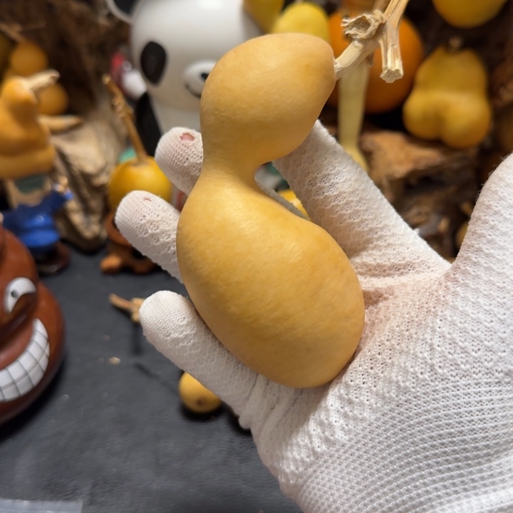 尚***猫66…………………………………………