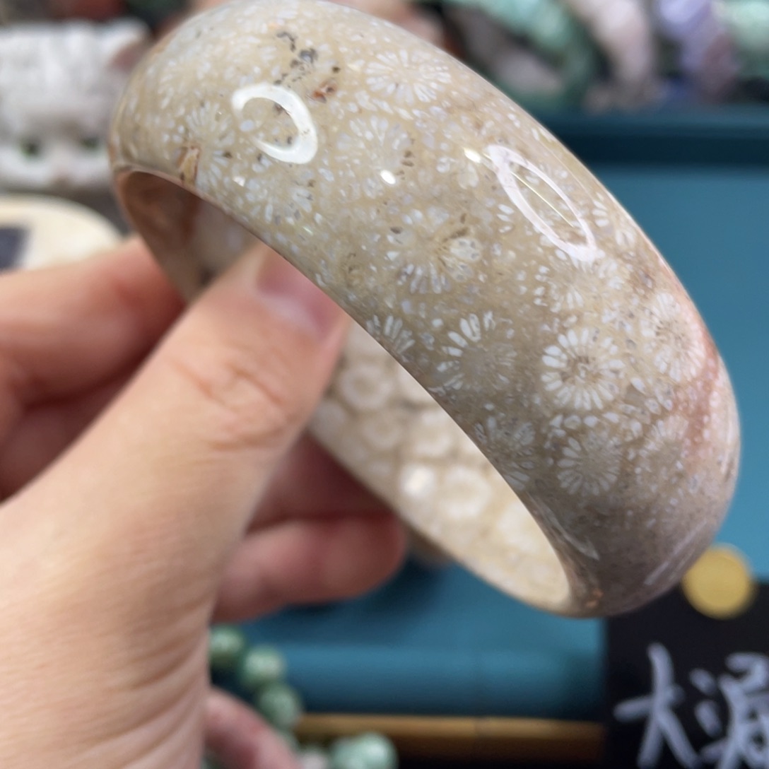 未镶嵌手镯硅化玉