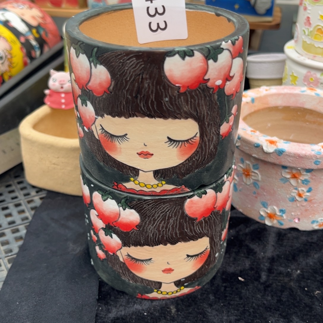 拂***衣433多肉花盆   2个