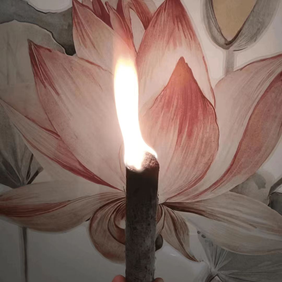 太乙灸2.0养生馆专用家居调养