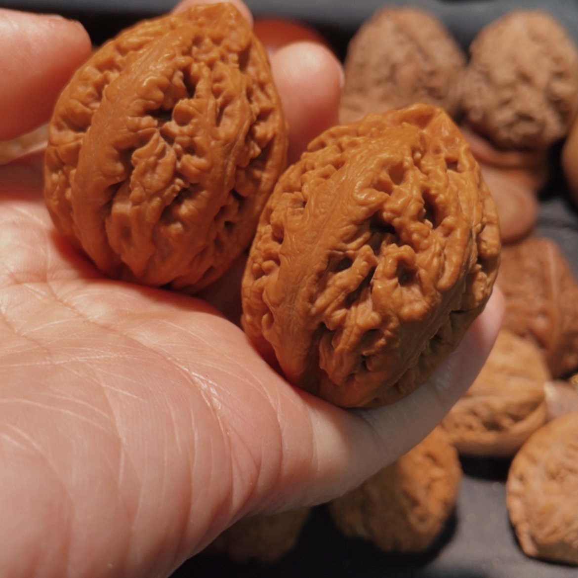 【闪购商品】把件文玩核桃刘*东北楸z 3