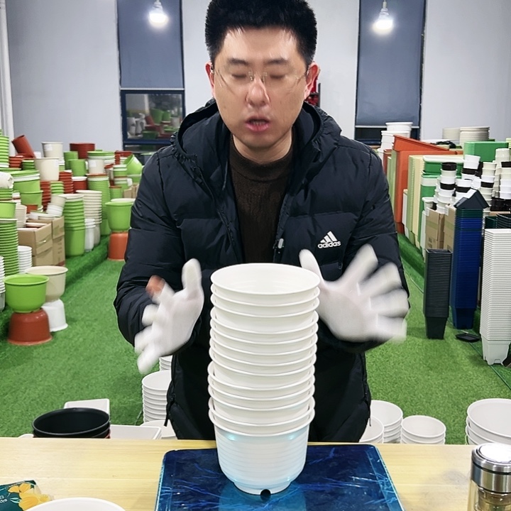 正品矮陶口15高11白色10只无托