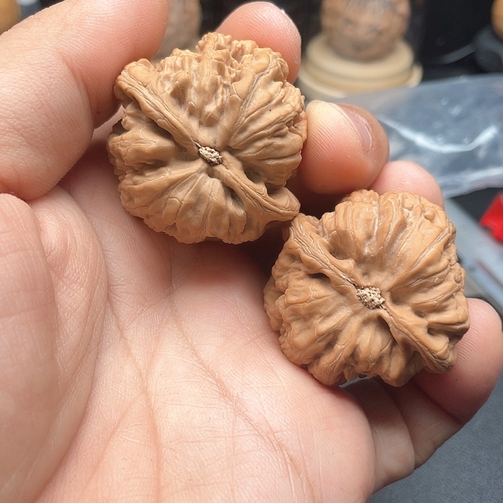 文玩核桃把件大粗筋