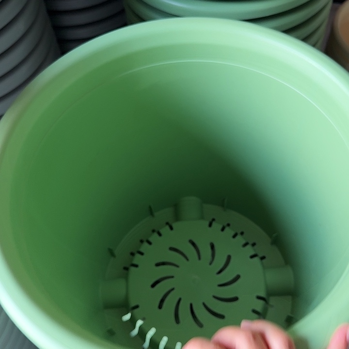 微瑕8#浅绿5个无托