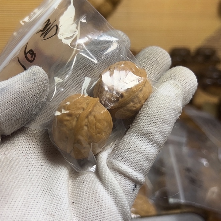 吊坠文玩核桃小蛤蟆16号