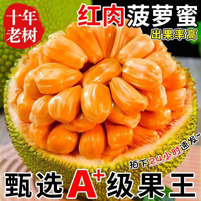 【红肉波罗蜜】【整个】新鲜水果包邮泰八波罗红心菠萝蜜一当季水果