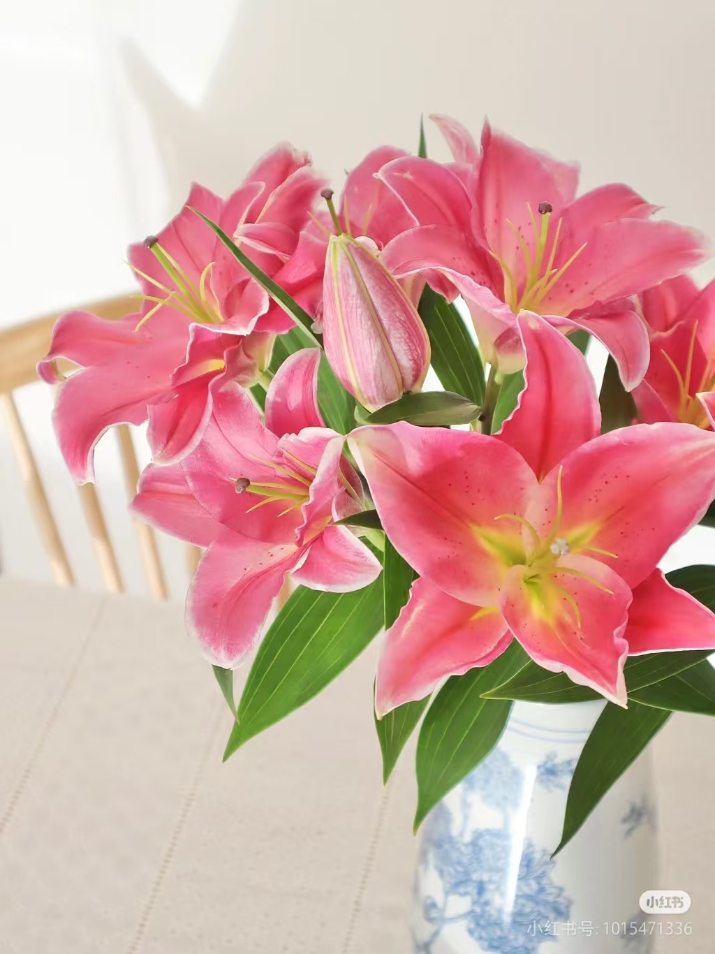 【粉贵妃】东方香水百合浓香型大花型长花期