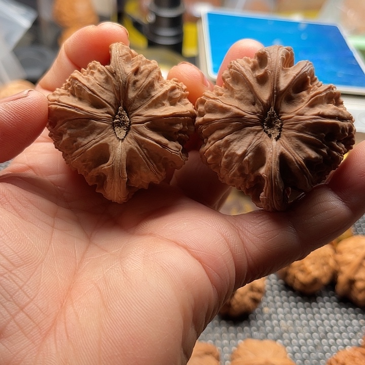 星***辰把件桃核球白边48