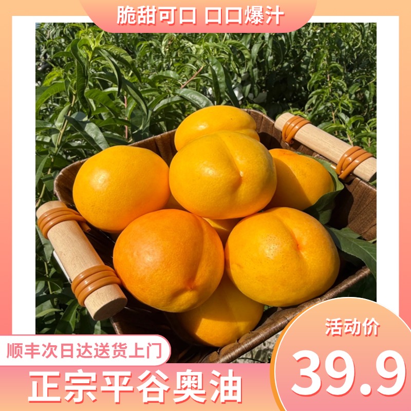 【北京平谷黄奥油芒果香甜！】顺丰包邮平谷奥油平谷大桃新鲜采摘次日达孕妇应季水果桃子同城送北京市