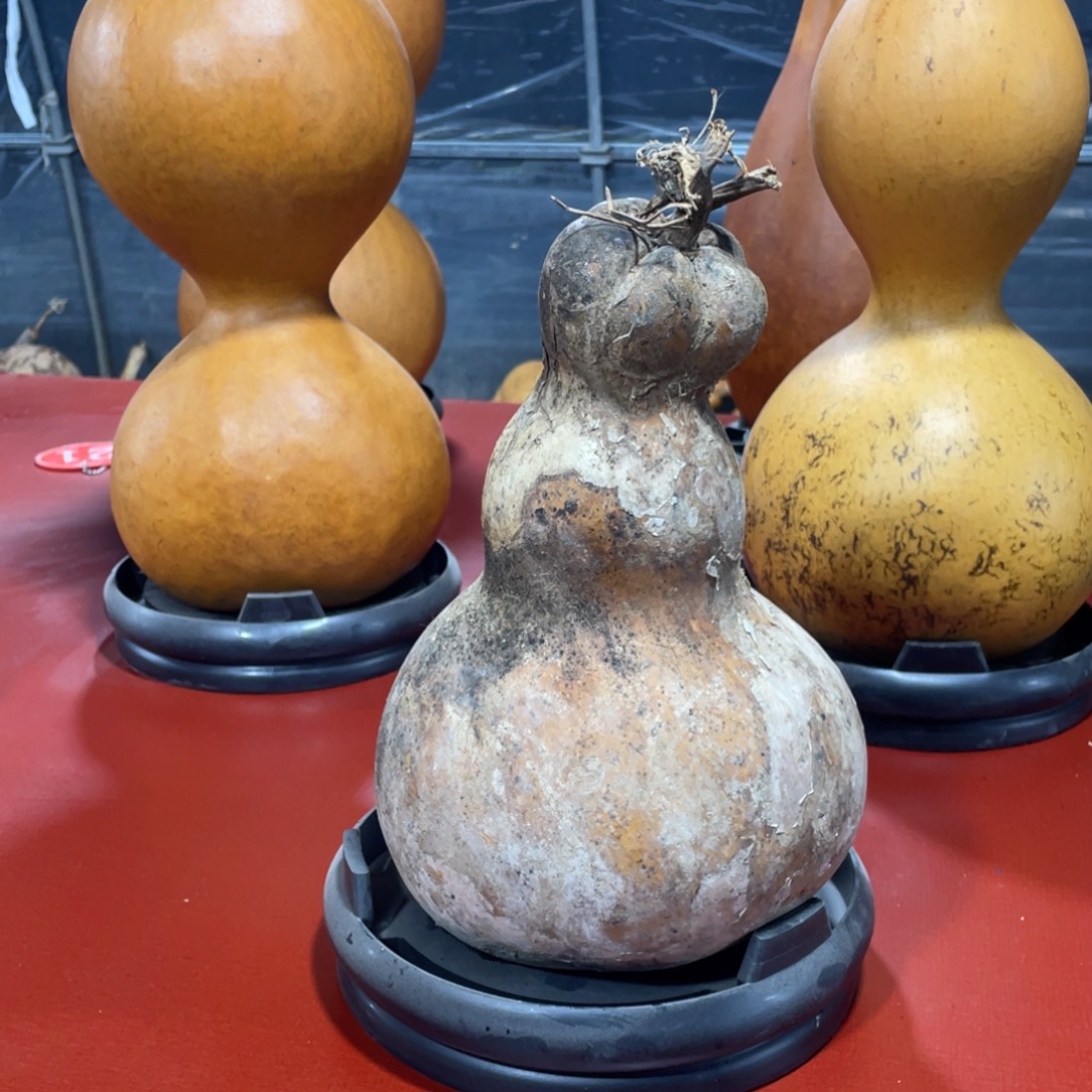 玥***弛银S925葫芦直播间一物一拍