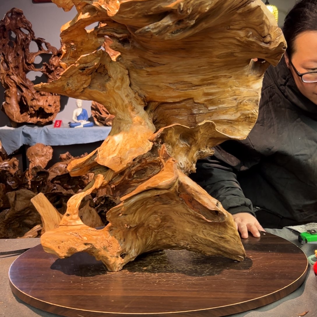 清***丽香杉木924aaaaaaaaas