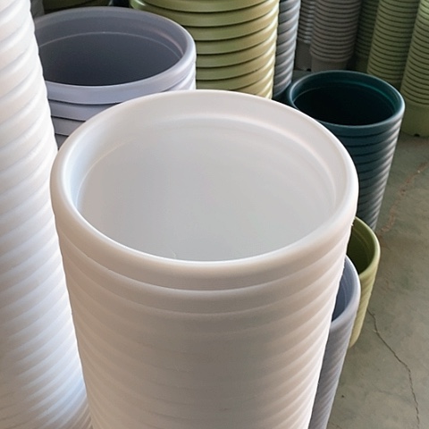 树脂四季4号纯白无托6个